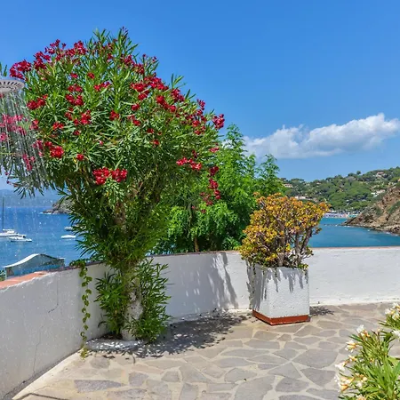 Apartment - Monolocale Sul Mare Capoliveri (Isola d'Elba)